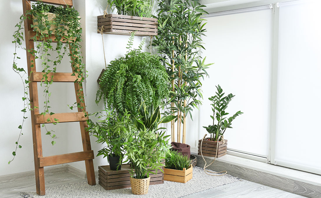 Creare un giardino verticale a casa - Frimarserramenti Milano